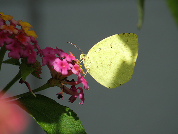 里山ロッジもっく