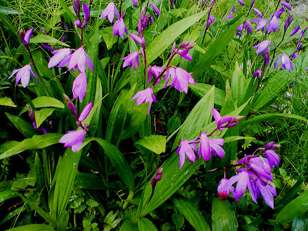 里山ロッジもっく