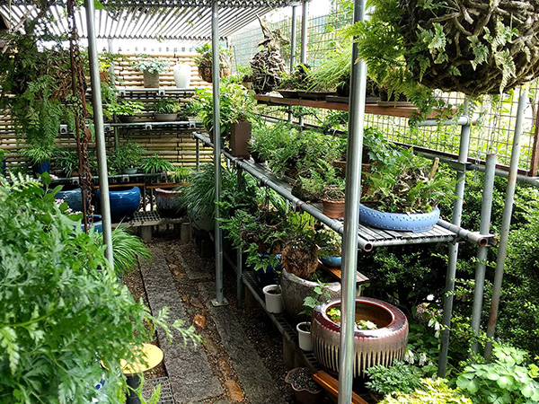 里山ロッジもっく