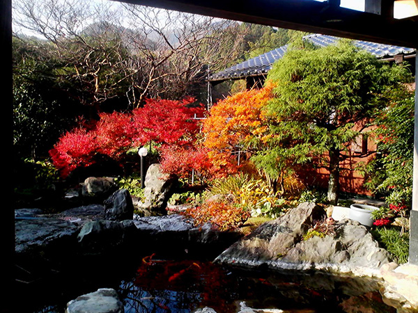 里山ロッジもっく